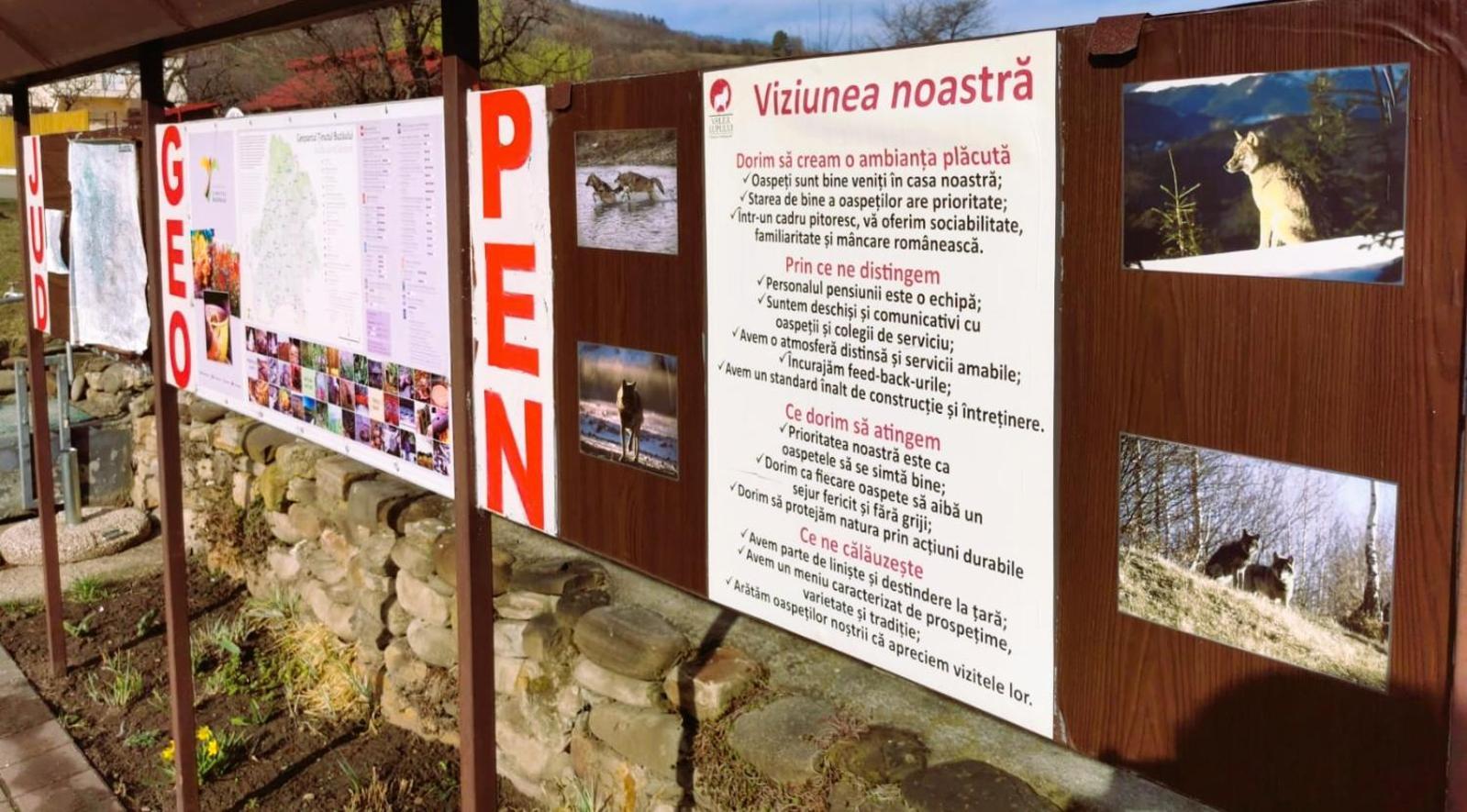 Pensiunea Valea Lupului Valea Lupului  外观 照片