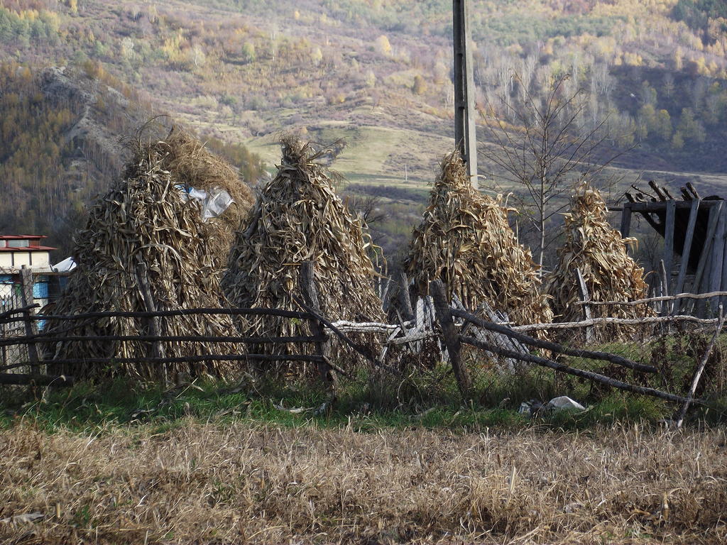 Pensiunea Valea Lupului Valea Lupului  外观 照片