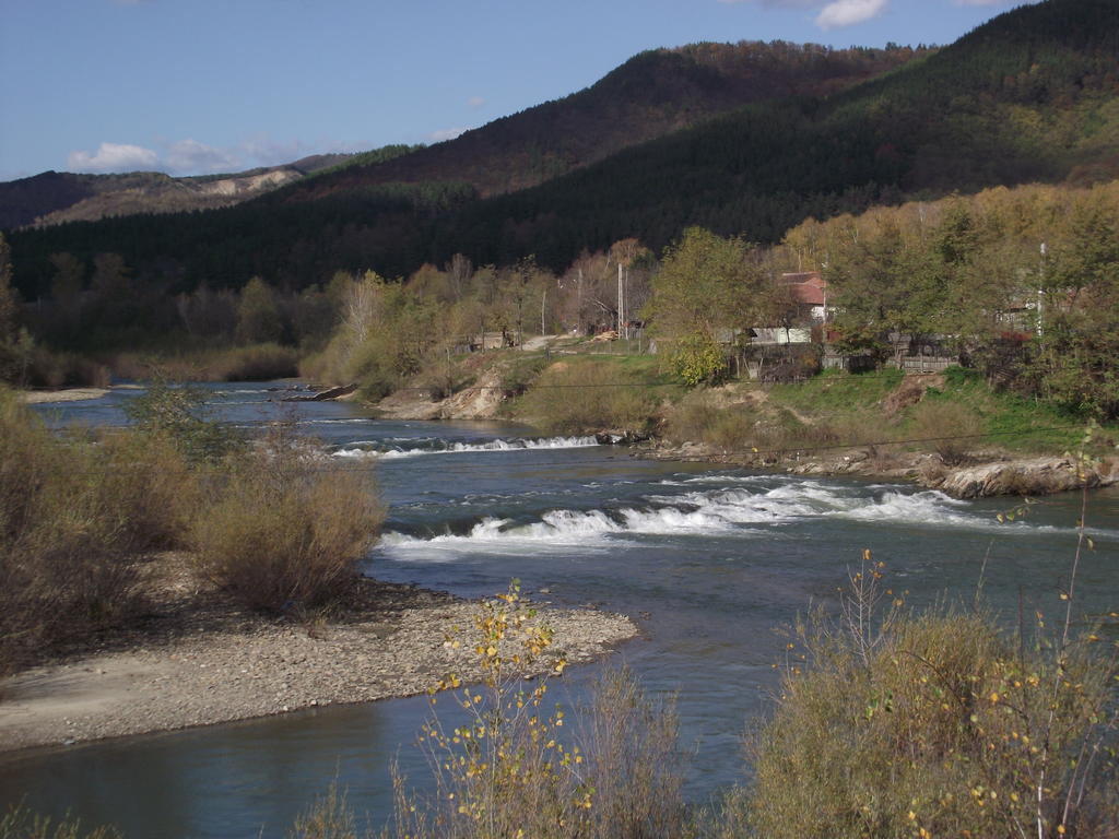 Pensiunea Valea Lupului Valea Lupului  外观 照片